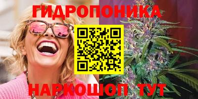 ECSTASY Камышлов